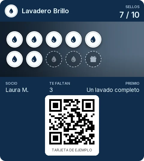 Tarjeta de ejemplo: Tarjeta de socio de Lavadero Brillo